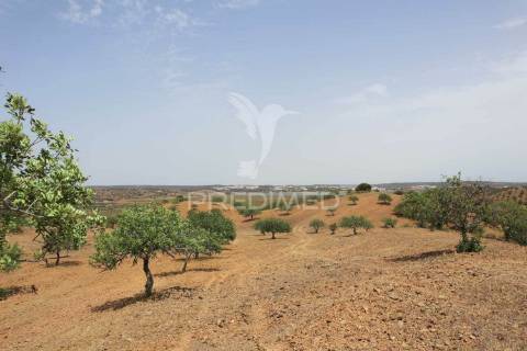 Quinta junto ao guadiana, 357ha, com ruínas com 1623m2