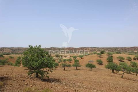 Quinta junto ao guadiana, 357ha, com ruínas com 1623m2