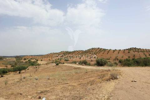 Quinta junto ao guadiana, 357ha, com ruínas com 1623m2