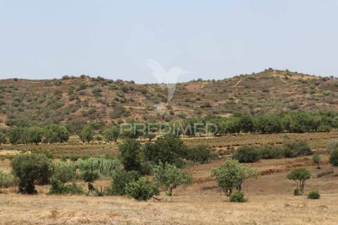 Quinta junto ao guadiana, 357ha, com ruínas com 1623m2