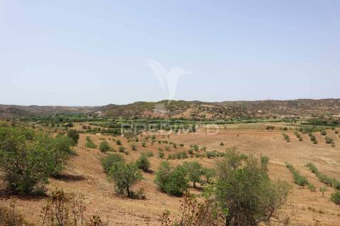 Quinta junto ao guadiana, 357ha, com ruínas com 1623m2