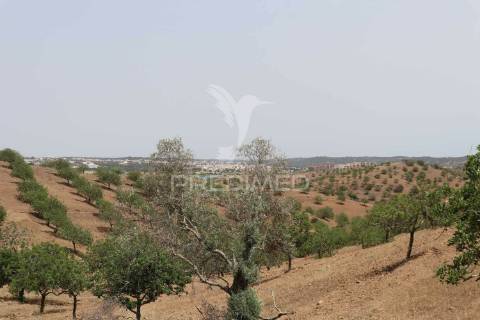 Quinta junto ao guadiana, 357ha, com ruínas com 1623m2