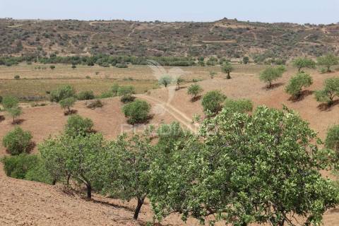 Quinta junto ao guadiana, 357ha, com ruínas com 1623m2