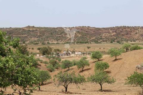 Terreno misto junto ao guadiana, 357ha, e ruínas com 1623m2