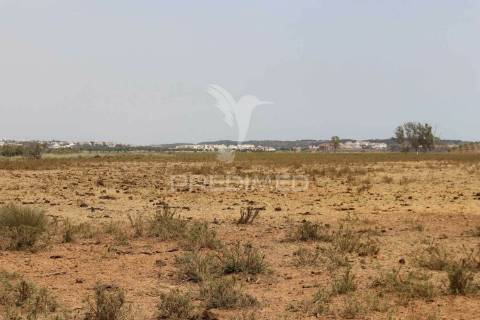 Terreno misto junto ao guadiana, 357ha, e ruínas com 1623m2