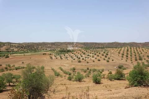 Terreno misto junto ao guadiana, 357ha, e ruínas com 1623m2