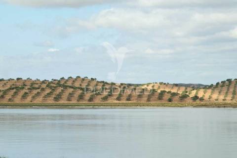 Terreno misto junto ao guadiana, 357ha, e ruínas com 1623m2