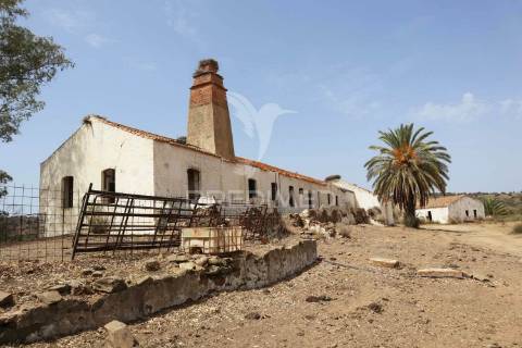 Terreno misto junto ao guadiana, 125ha, com ruína de 1005m2