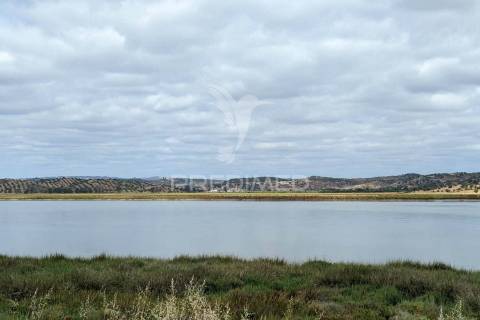 Terreno misto junto ao guadiana, 125ha, com ruína de 1005m2