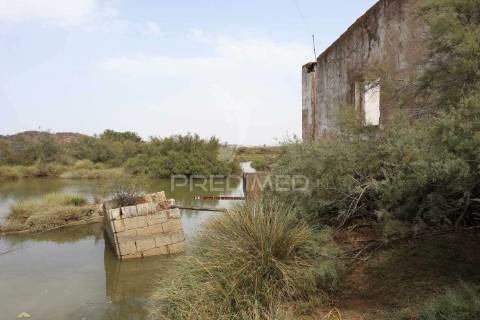 Terreno misto junto ao guadiana, 125ha, com ruína de 1005m2