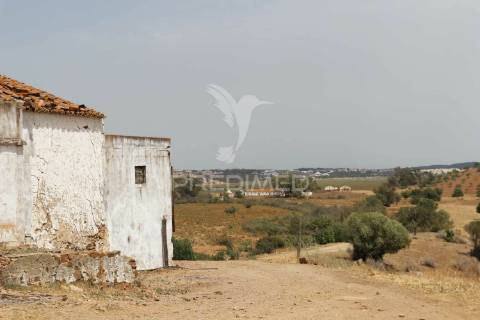 Quinta com vista do guadiana, 126ha, com ruína de 618m2