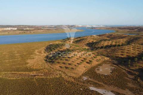 Quinta com vista do guadiana, 126ha, com ruína de 618m2