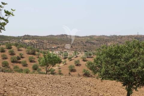 Quinta com vista do guadiana, 126ha, com ruína de 618m2