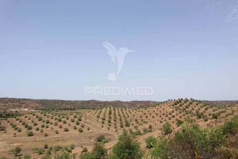 Quinta com vista do guadiana, 126ha, com ruína de 618m2