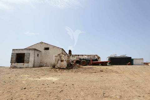 Quinta com vista do guadiana, 126ha, com ruína de 618m2
