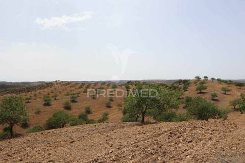 Quinta com vista do guadiana, 126ha, com ruína de 618m2