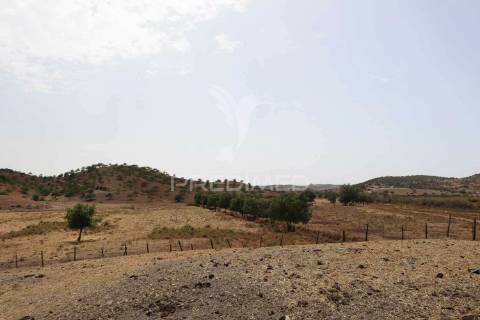 Quinta com vista do guadiana, 126ha, com ruína de 618m2