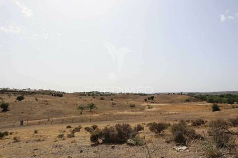 Quinta com vista do guadiana, 126ha, com ruína de 618m2