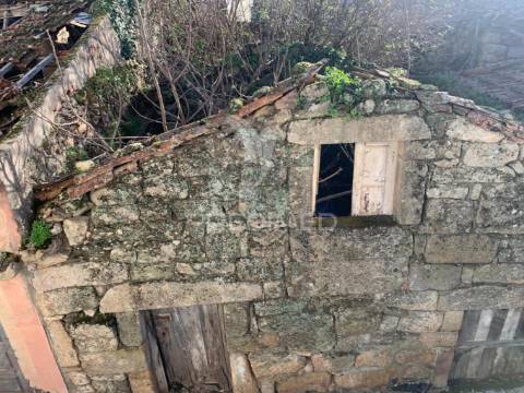 Ruina - douro vinhateiro ( alijó )