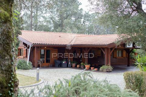 Quinta cachide