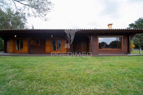 Quinta cachide