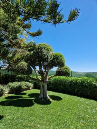Faro stª b. nexe -moradia t5 isolada, piscina, jardim e vista mar