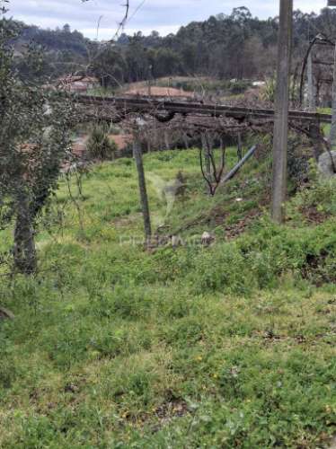 Moradia t2 no forcado, telões, amarante, porto