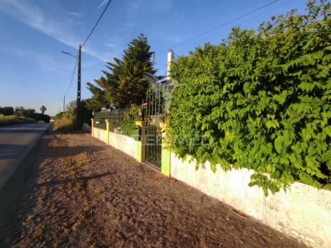 Quinta com moradia t3 + oficina auto em beringel