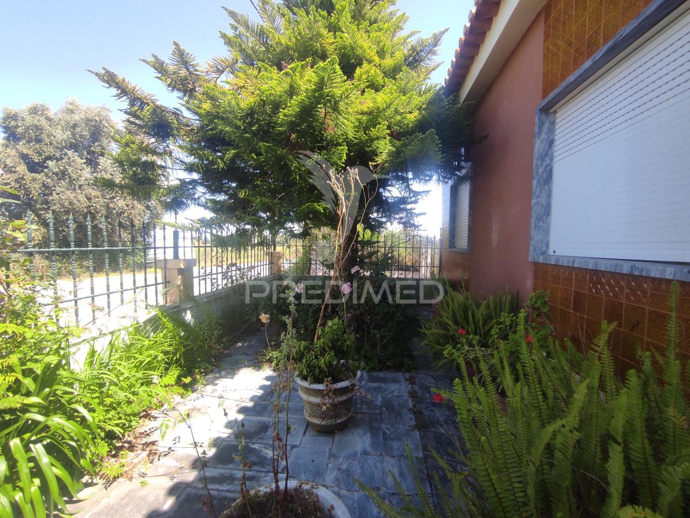 Quinta com moradia t3 + oficina auto em beringel