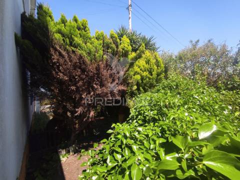 Quinta com moradia t3 + oficina auto em beringel
