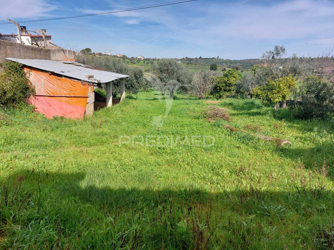 Quintinha rural