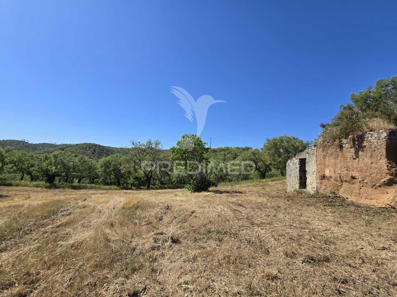 Monte alentejano - serra de grândola