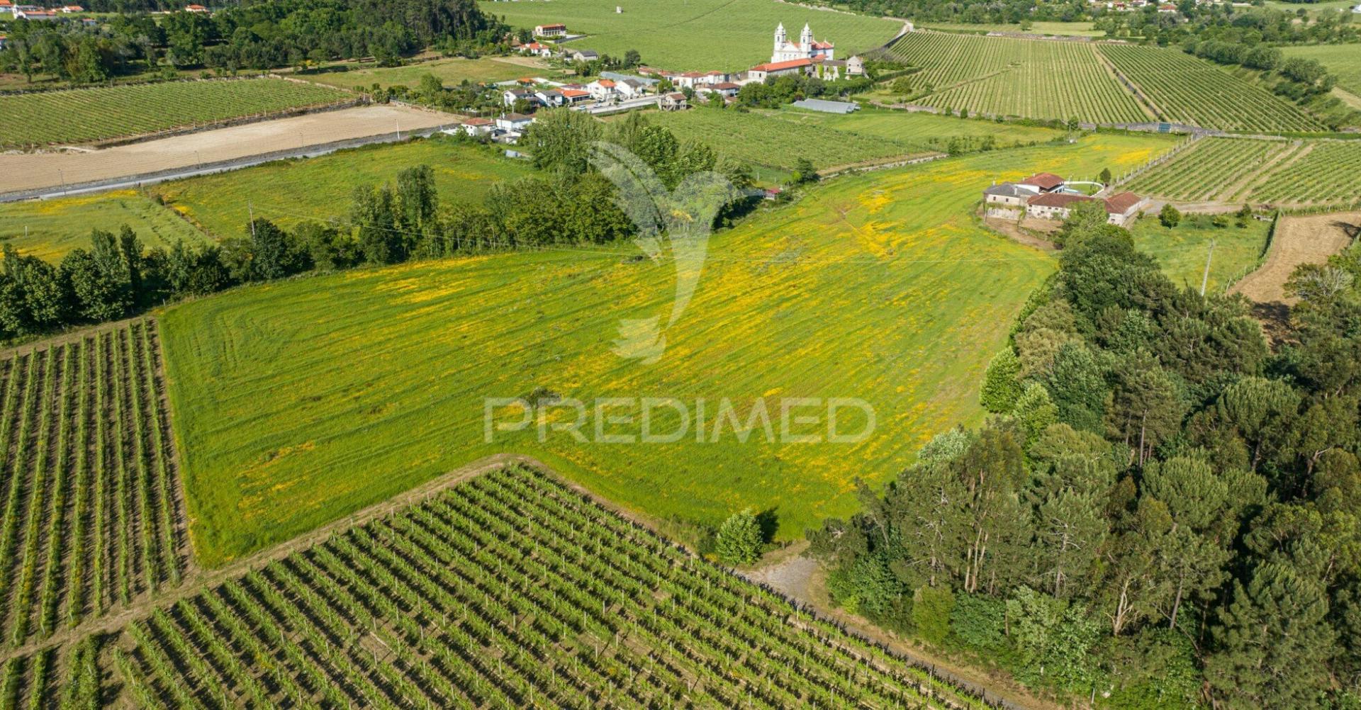Duas quintas, com exploração agrícola e turismo rural;