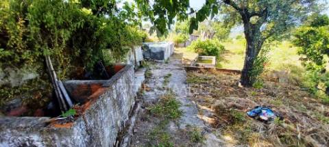 Quinta em zona muito tranquila