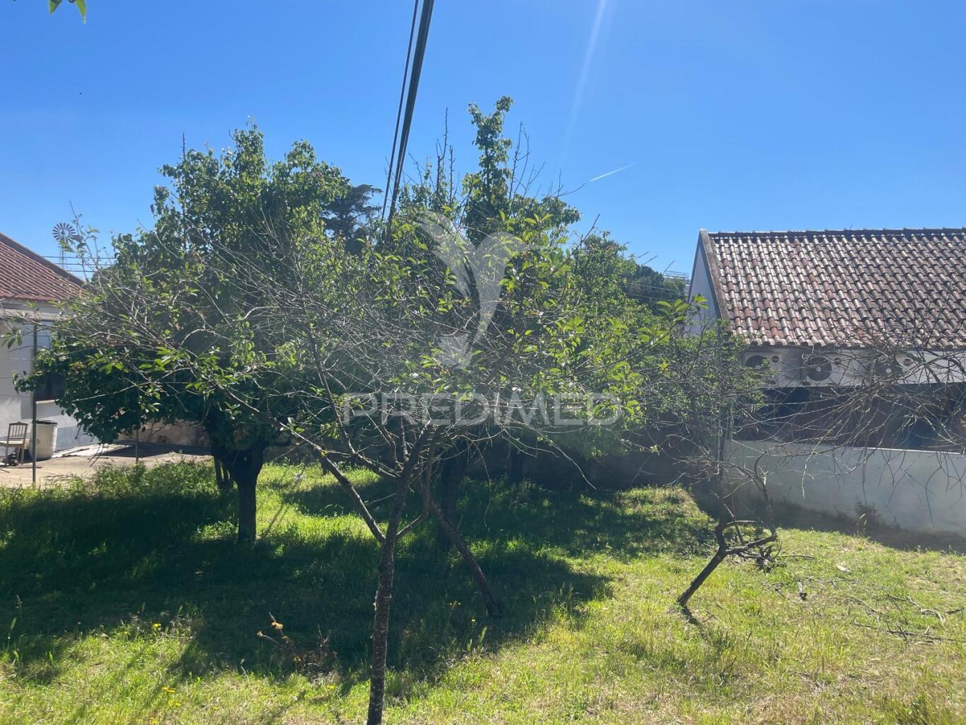 Moradia t2 com terreno em penafirme da mata (olhalvo)