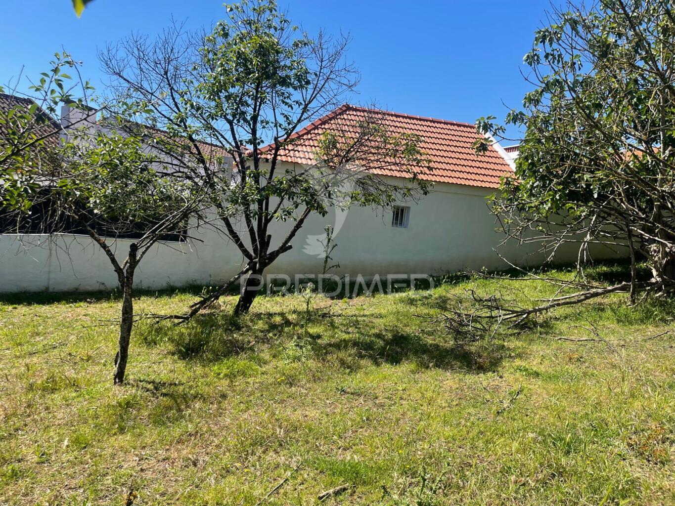 Moradia t2 com terreno em penafirme da mata (olhalvo)