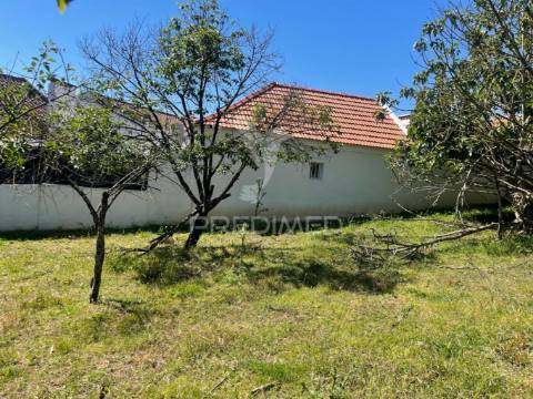 Moradia t2 com terreno em penafirme da mata (olhalvo)