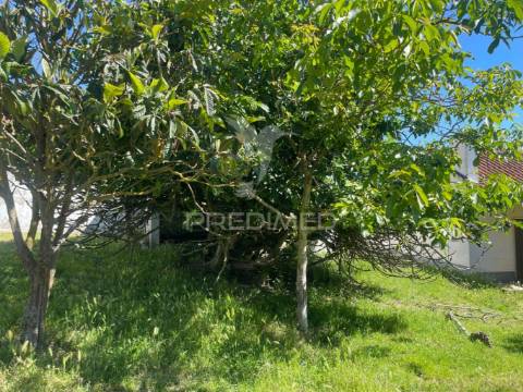 Moradia t2 com terreno em penafirme da mata (olhalvo)