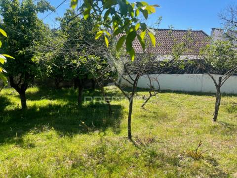 Moradia t2 com terreno em penafirme da mata (olhalvo)