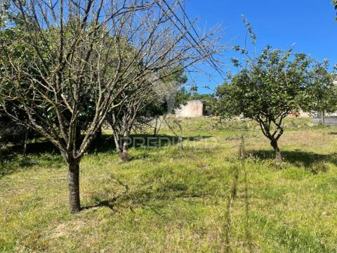Moradia t2 com terreno em penafirme da mata (olhalvo)