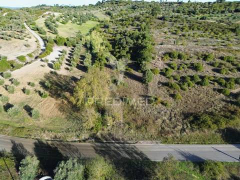 Terreno rústico com 15.530 m² em arneiro das milhariças
