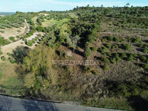 Terreno rústico com 15.530 m² em arneiro das milhariças