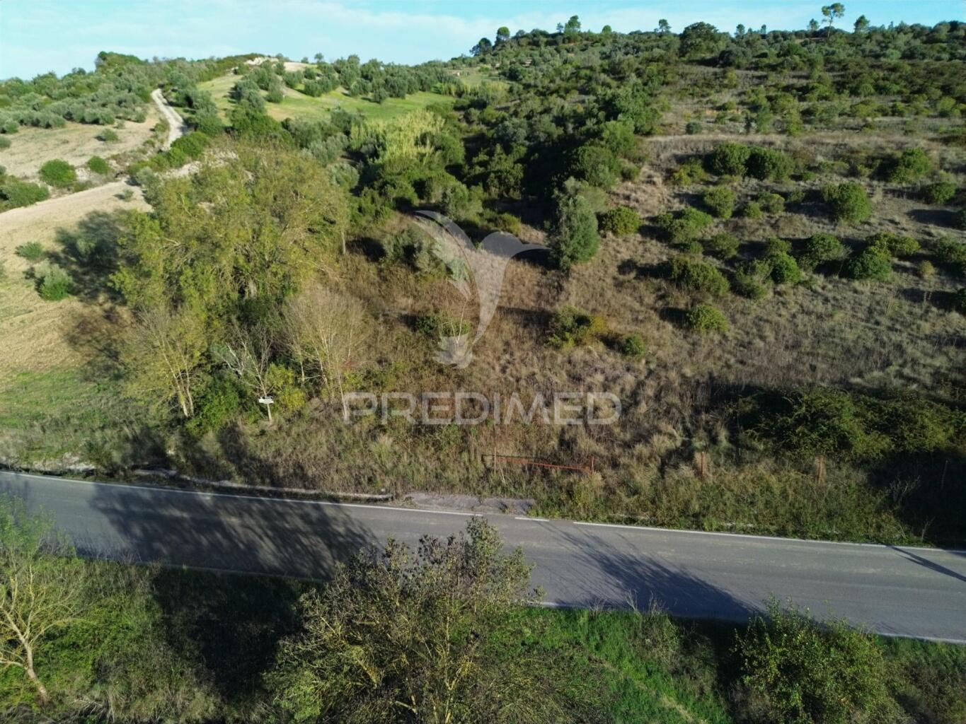 Terreno rústico com 15.530 m² em arneiro das milhariças