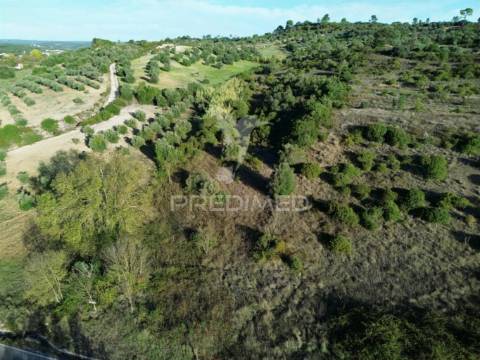 Terreno rústico com 15.530 m² em arneiro das milhariças