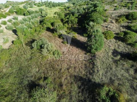 Terreno rústico com 15.530 m² em arneiro das milhariças