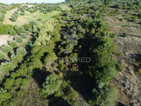 Terreno rústico com 15.530 m² em arneiro das milhariças