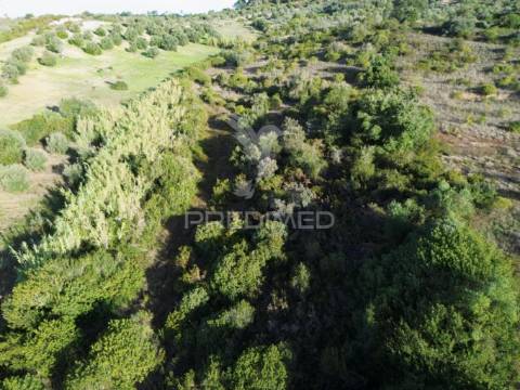 Terreno rústico com 15.530 m² em arneiro das milhariças