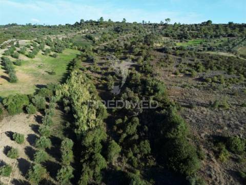 Terreno rústico com 15.530 m² em arneiro das milhariças