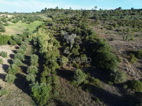 Terreno rústico com 15.530 m² em arneiro das milhariças