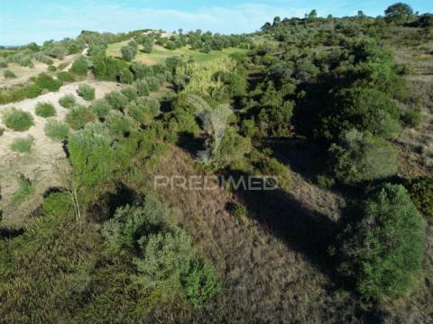 Terreno rústico com 15.530 m² em arneiro das milhariças